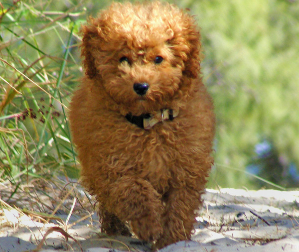 20090515322725_2009_0505rorys0024.JPG