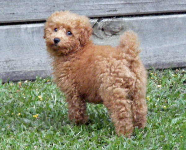 20090515322772_2009_0426rorys0023.JPG