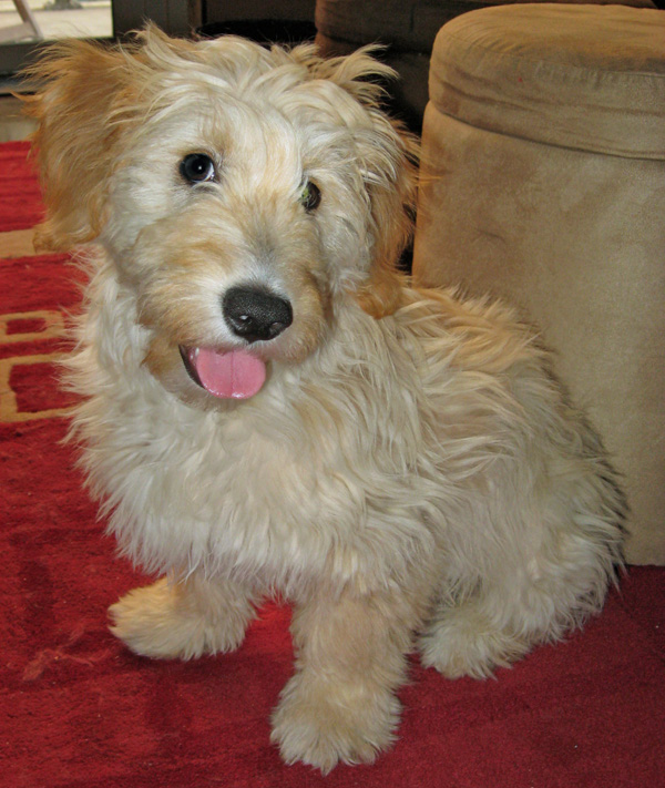 20090513252070_beaumont.jpg