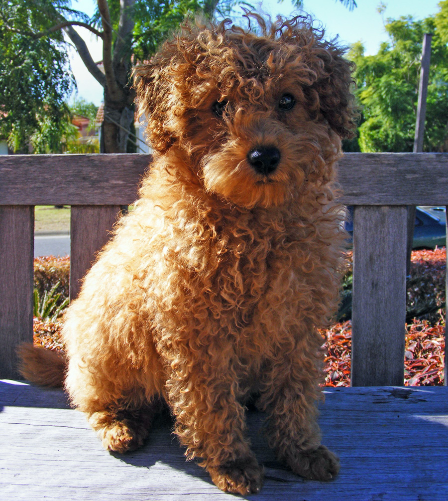 20090515322791_2009_0505rorys0002.JPG