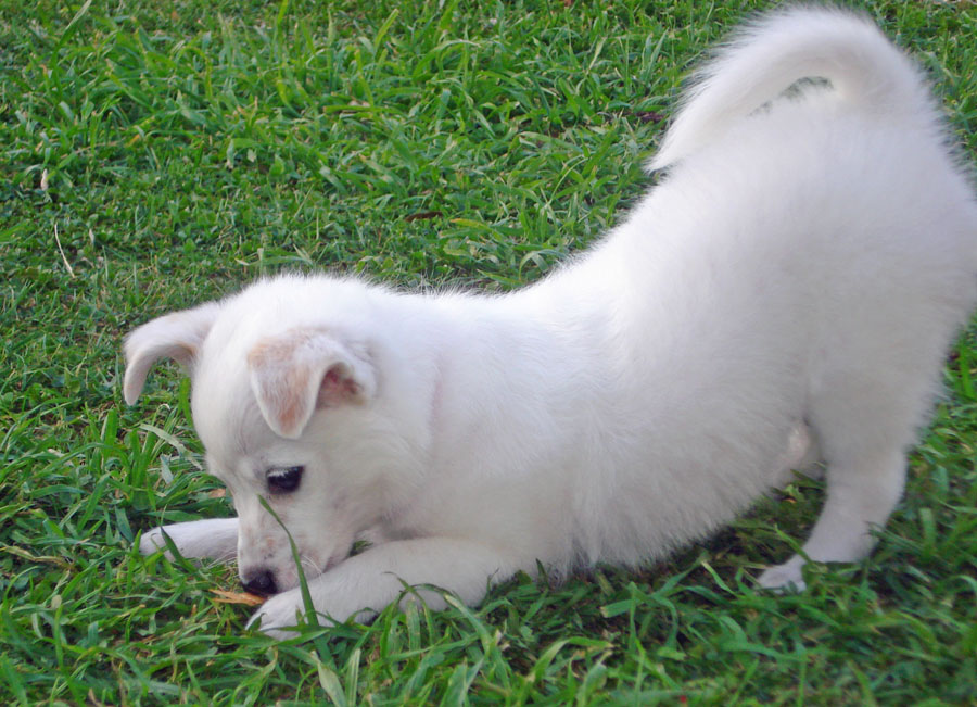 20090428312247_DSC04614.JPG