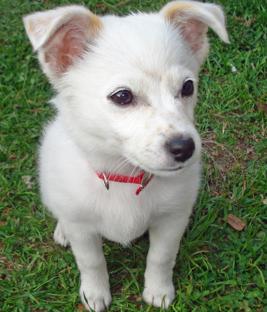 20090428312248_marley28.JPG