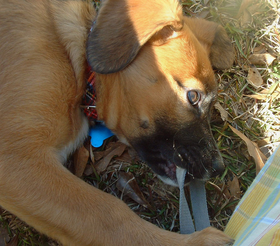 20090504318496_DSCF0301.JPG