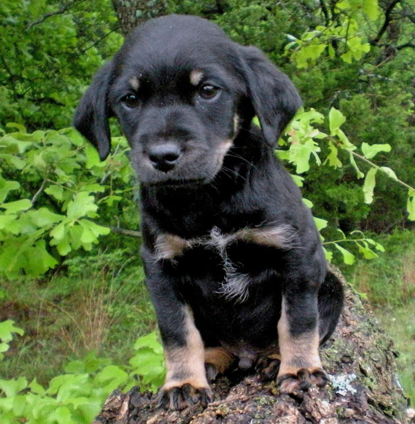 20090506320056_Mark005.JPG