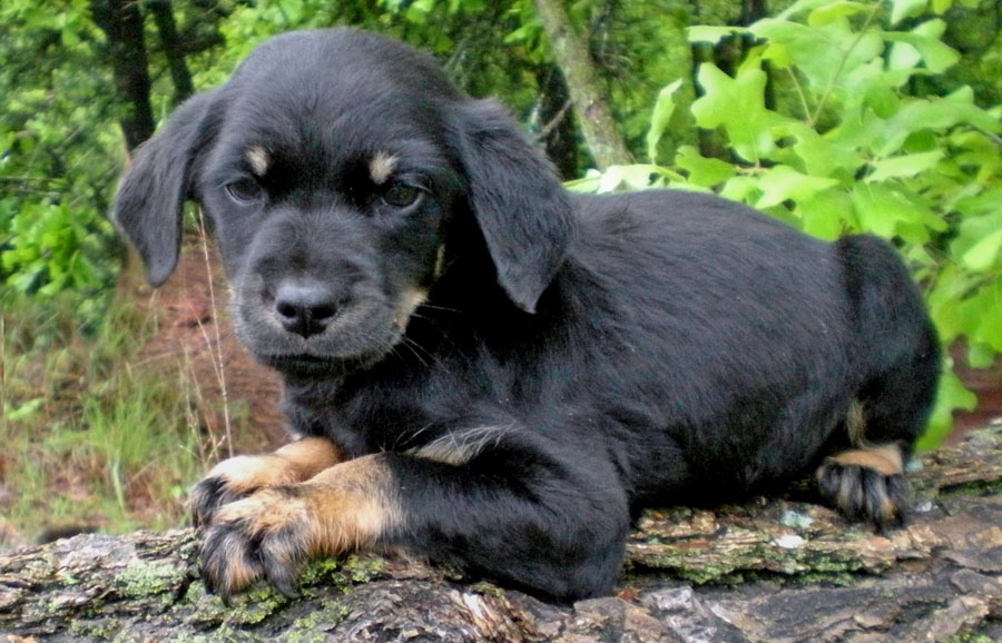 20090506320104_Mark048.JPG