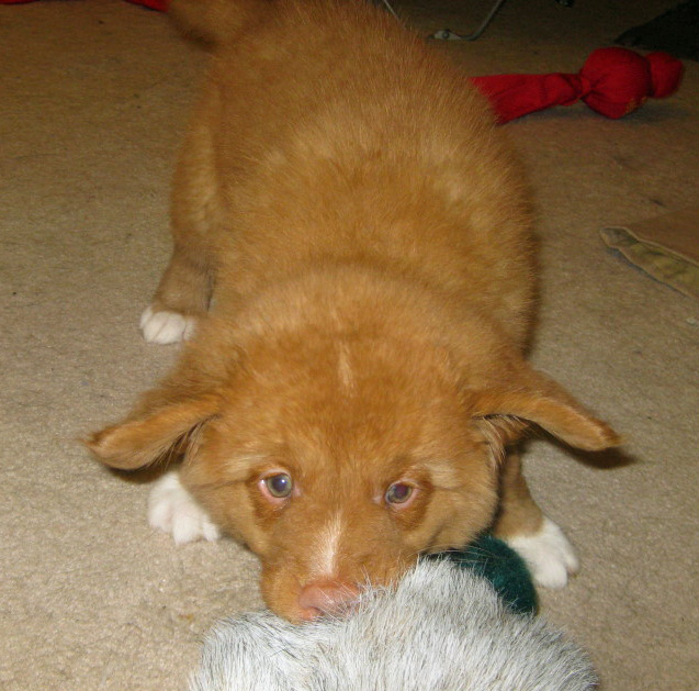 20090504318551_8wksvito60001.jpg