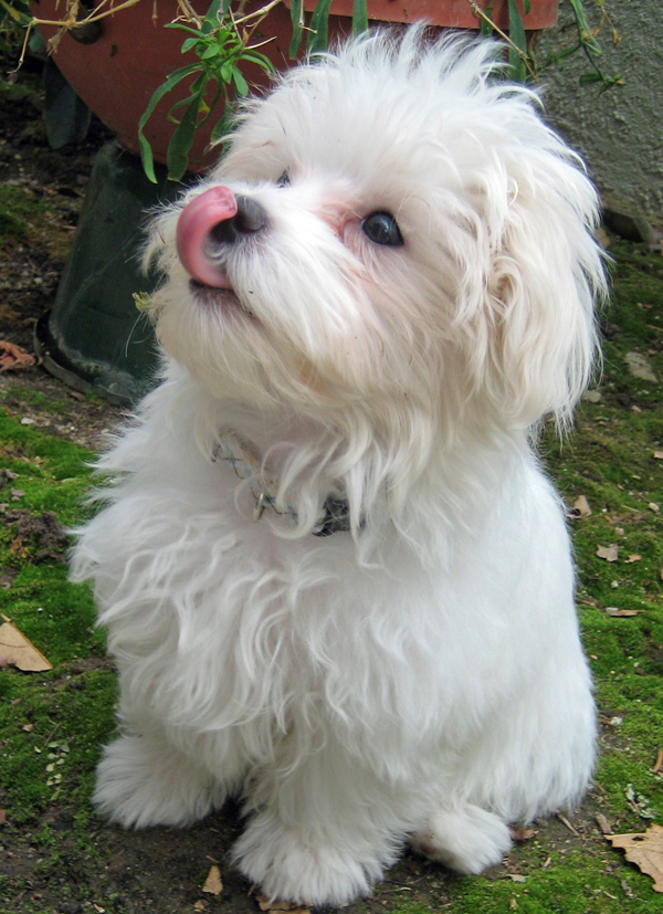 20090501164615_144.JPG