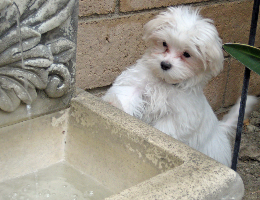 20090501164618_147.JPG