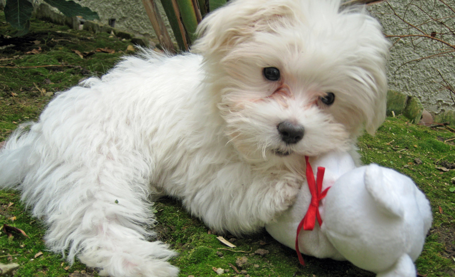 20090501164624_148.JPG