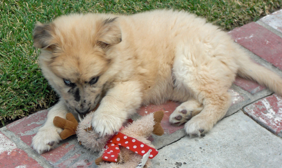 20090426310770_PICT0015.JPG