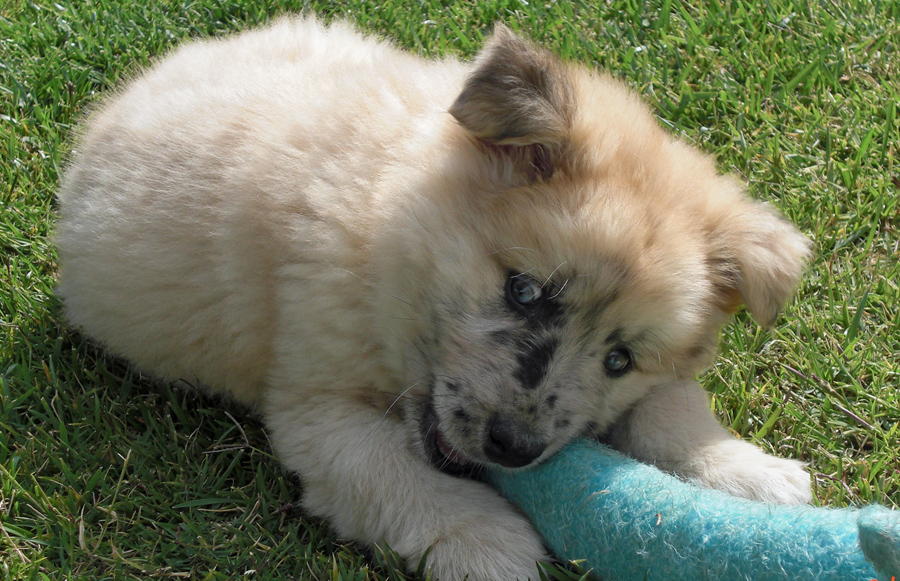 20090426310800_PICT0001.JPG