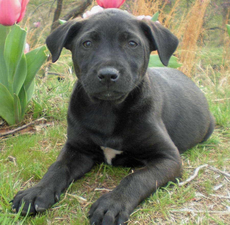 20090415301570_019.JPG