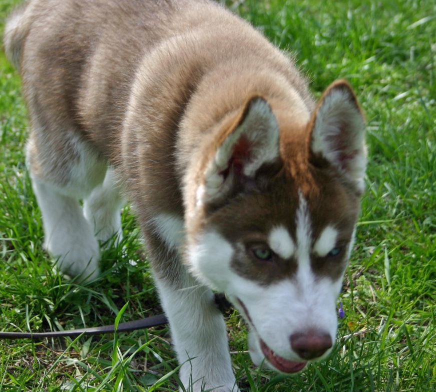 20090415301688_139_3978.JPG