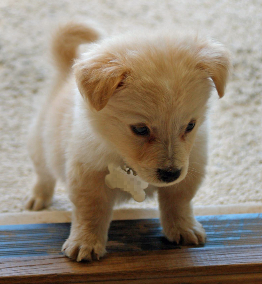 2009041624876_B2.jpg