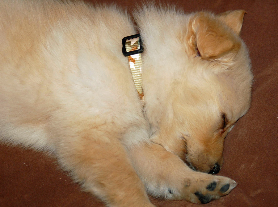 20090416302757_B7.jpg