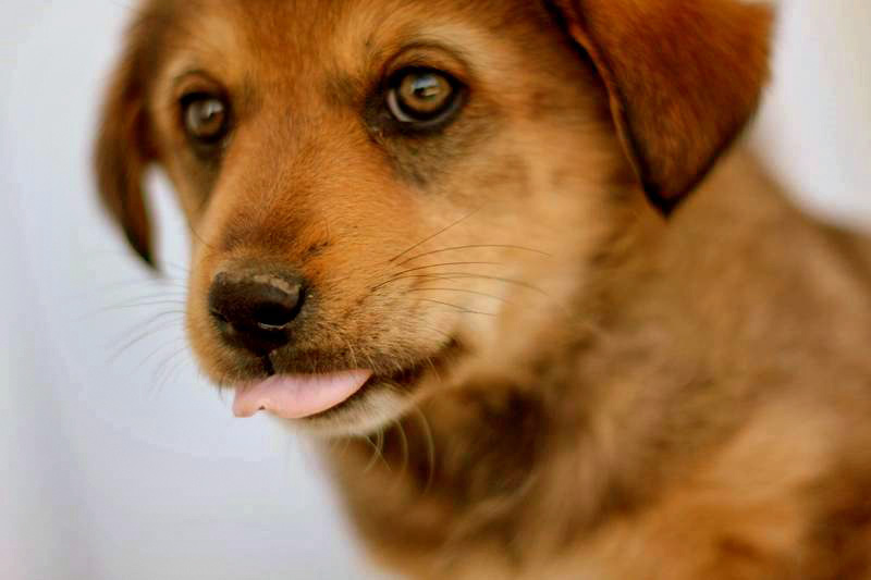20090413299500_339823h_20.jpeg