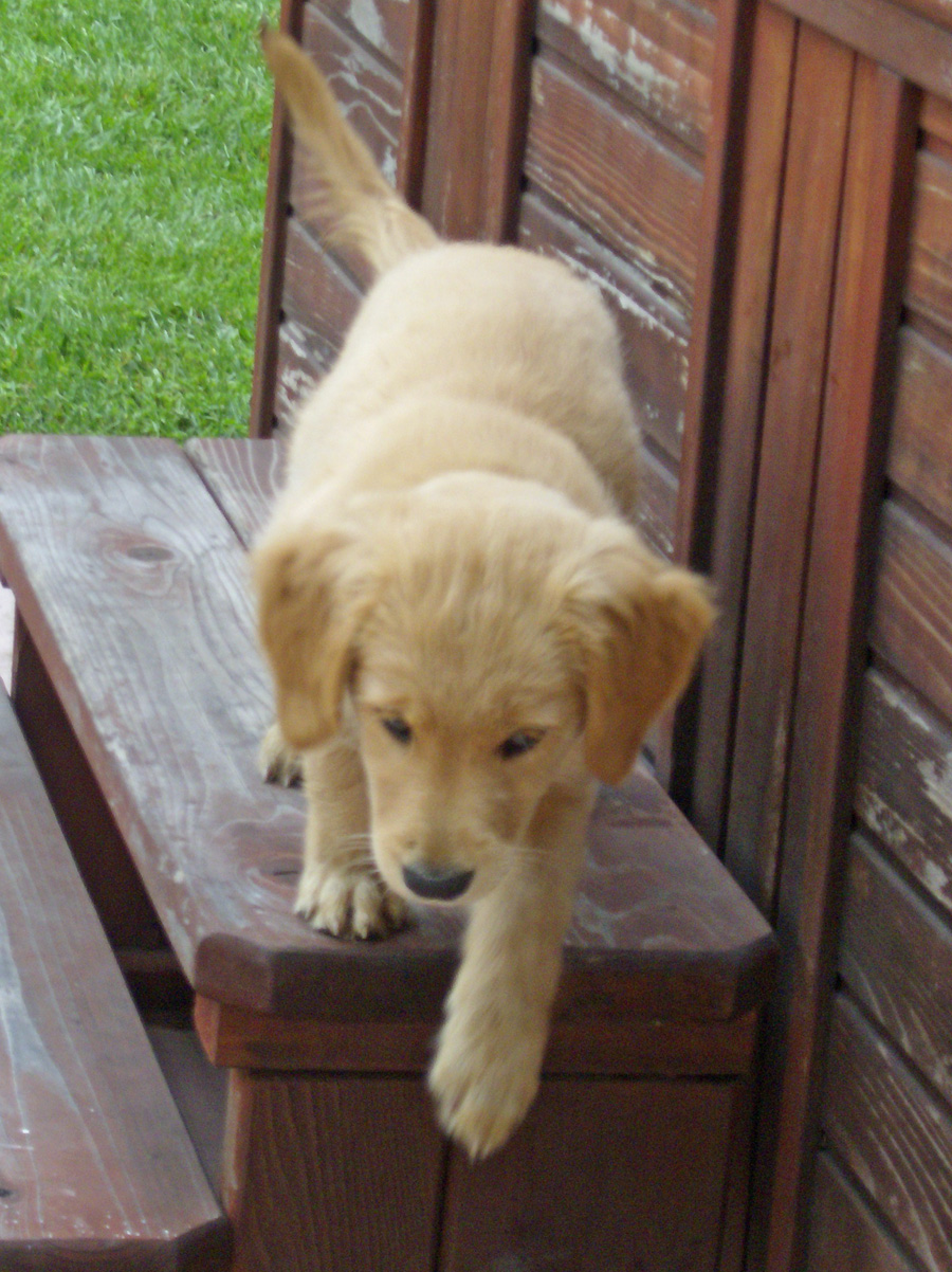 20090310237503_HPIM3214.JPG