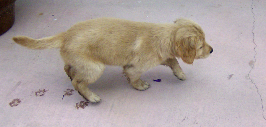 20090310237509_HPIM3012.JPG
