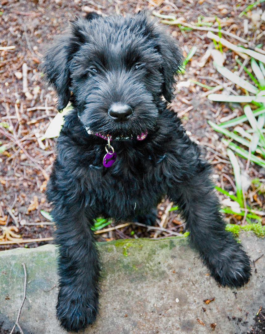 20090409295193_Maggie7.jpg