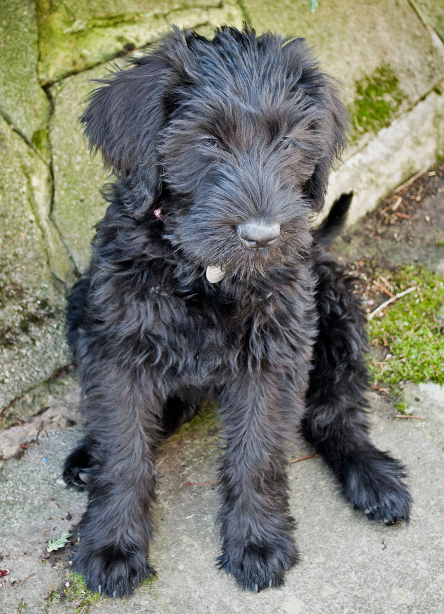 20090409295194_Maggie6.jpg