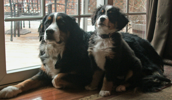 20090409290052_mommysphotos028.JPG