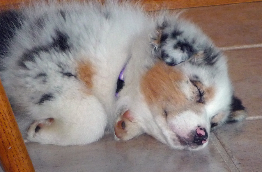 20090403289379_100_3154.JPG