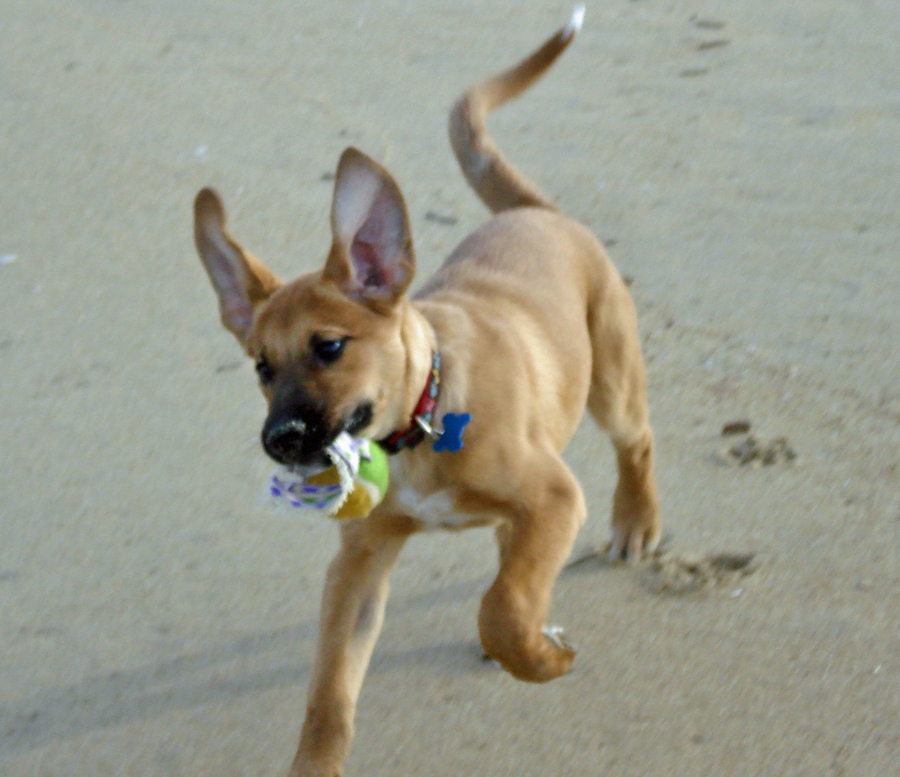 20090406252387_DSC02352.JPG