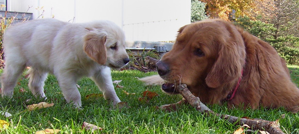 20090406286168_101_5238.JPG