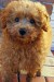 20090515322727_2009_0505rorys0040.JPG