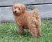 20090515322772_2009_0426rorys0023.JPG