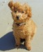 20090515322773_2009_0426rorys0020.JPG