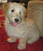 20090513252070_beaumont.jpg