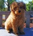 20090515322791_2009_0505rorys0002.JPG