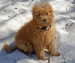 20090515322839_2009_0426rorys0019.JPG
