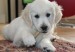 20090513326922_68.jpg