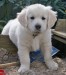 20090513326923_26.jpg_w450.jpg