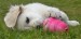 20090513326924_44.jpg