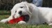 20090513326925_85.jpg