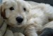 20090513259339_bsnow.JPG