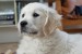20090513326926_67.jpg_w450.jpg