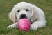 20090513326931_75.jpg