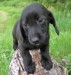 20090513326197_DSCN3496.JPG