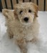 20090513259342_snow5.JPG_w450.jpg