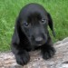 20090513326198_DSCN3509.JPG