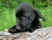 20090513326351_DSCN3533.JPG