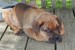 20090502316710_photo-3.jpg