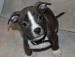 20090504319053_DSC_0033.JPG