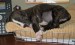 20090504319080_DSC_0040.JPG