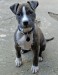20090504319082_DSC_0041.JPG