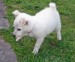 20090428312246_DSC04620.JPG